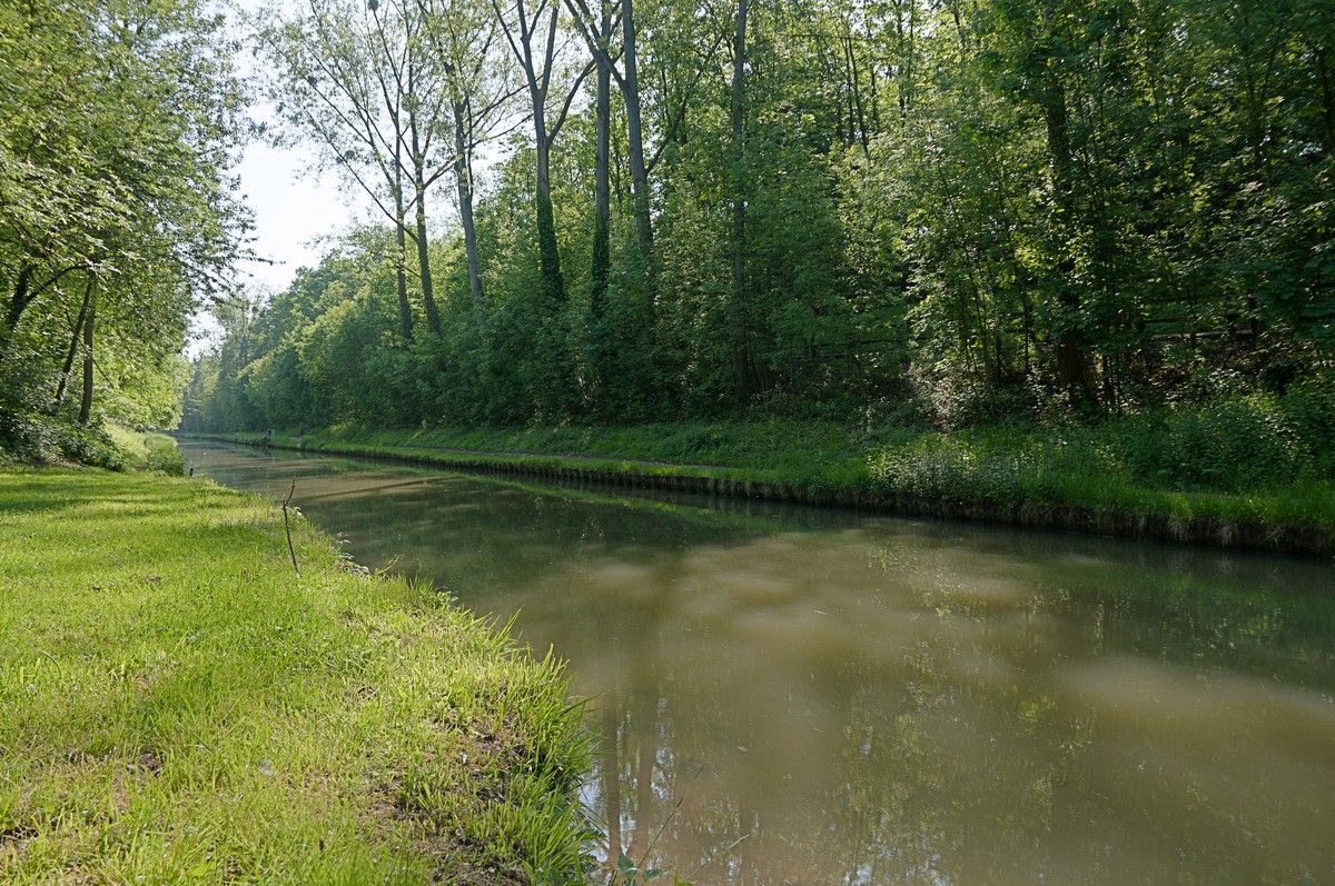 2012-05-13 08-56-31 fweb