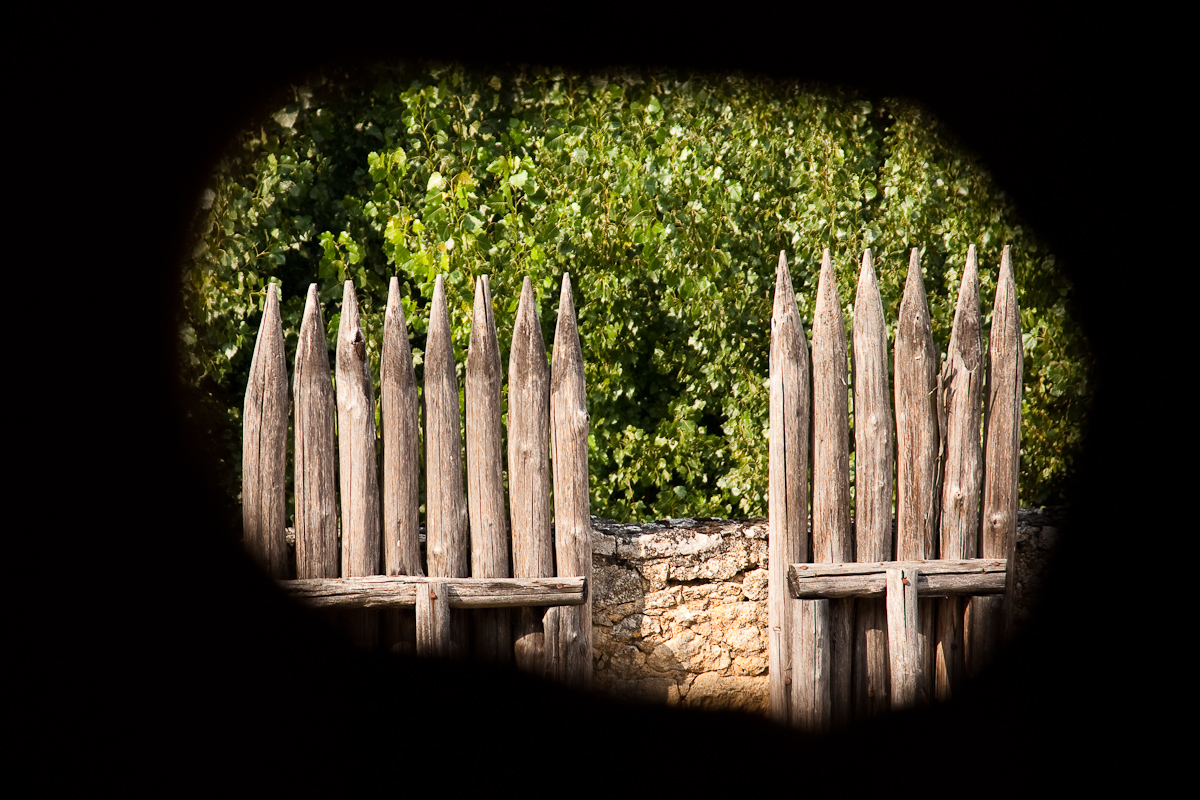 2010-08-19 17-16-21 web