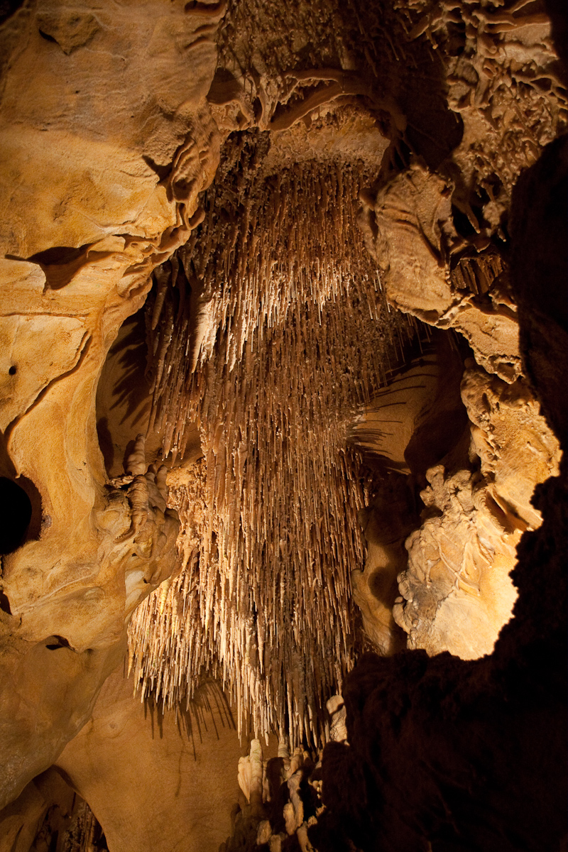 2010-08-22 15-46-52 web