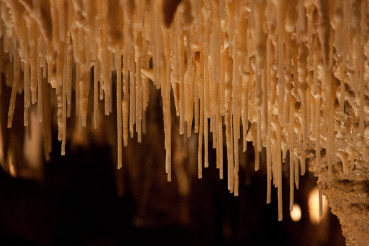 2010-08-22 15-54-42 web