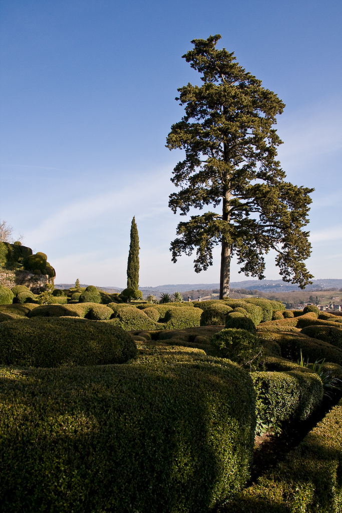 2009-02-26 15-31-19 web