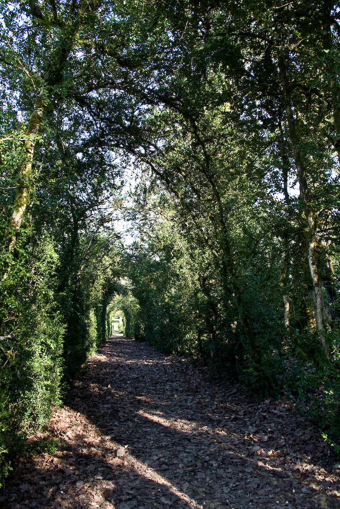 2009-02-26 15-40-11 web