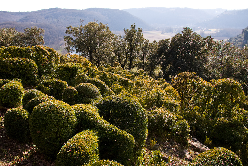 2009-02-26 16-23-22 web