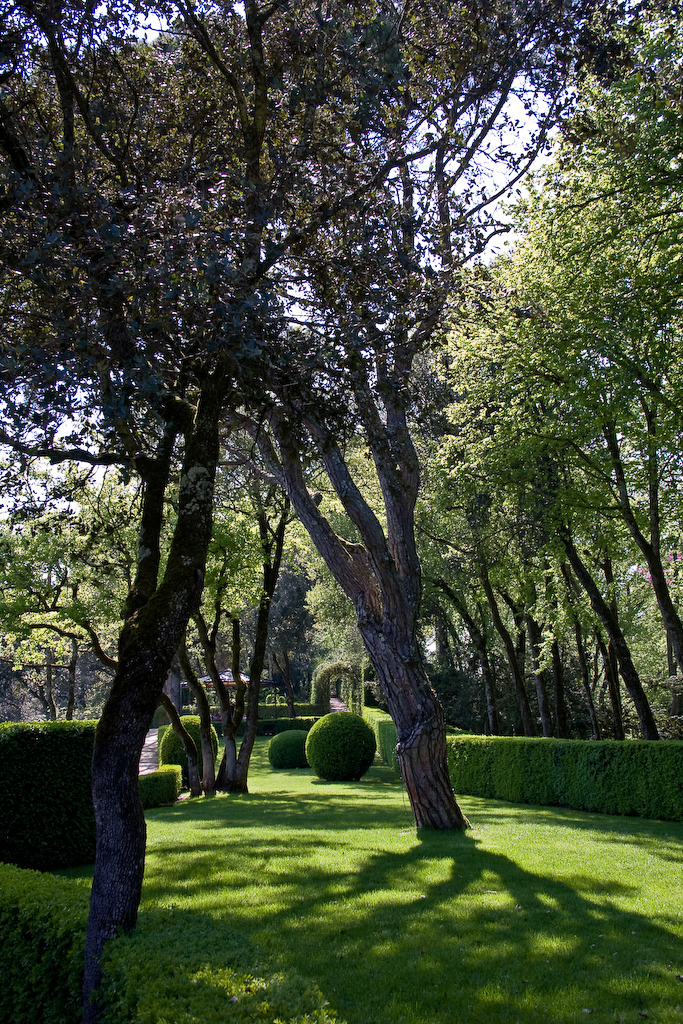 2009-04-22 16-46-51 web