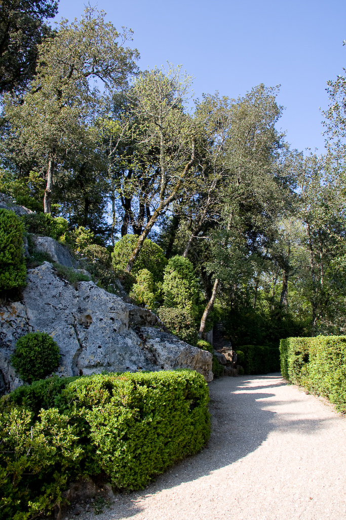 2009-04-22 17-17-33 web