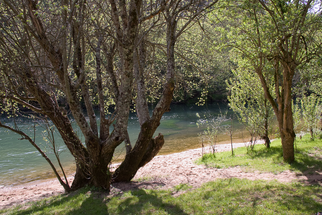 2009-04-24 17-15-55 web