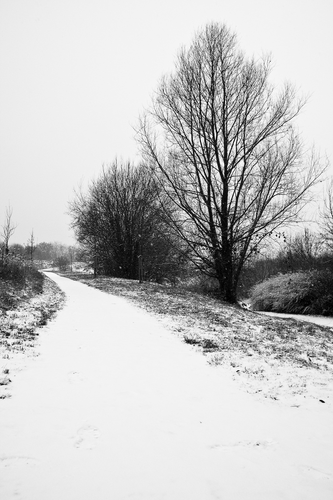 2009-01-05 12-00-13 web