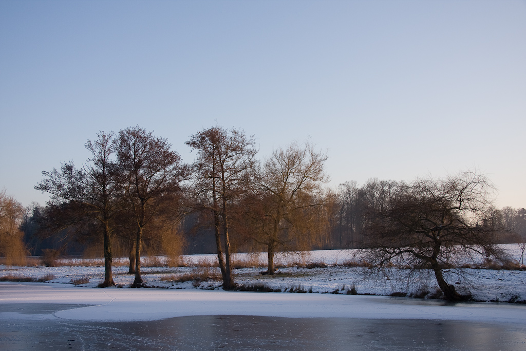 2009-01-10 16-23-07 web