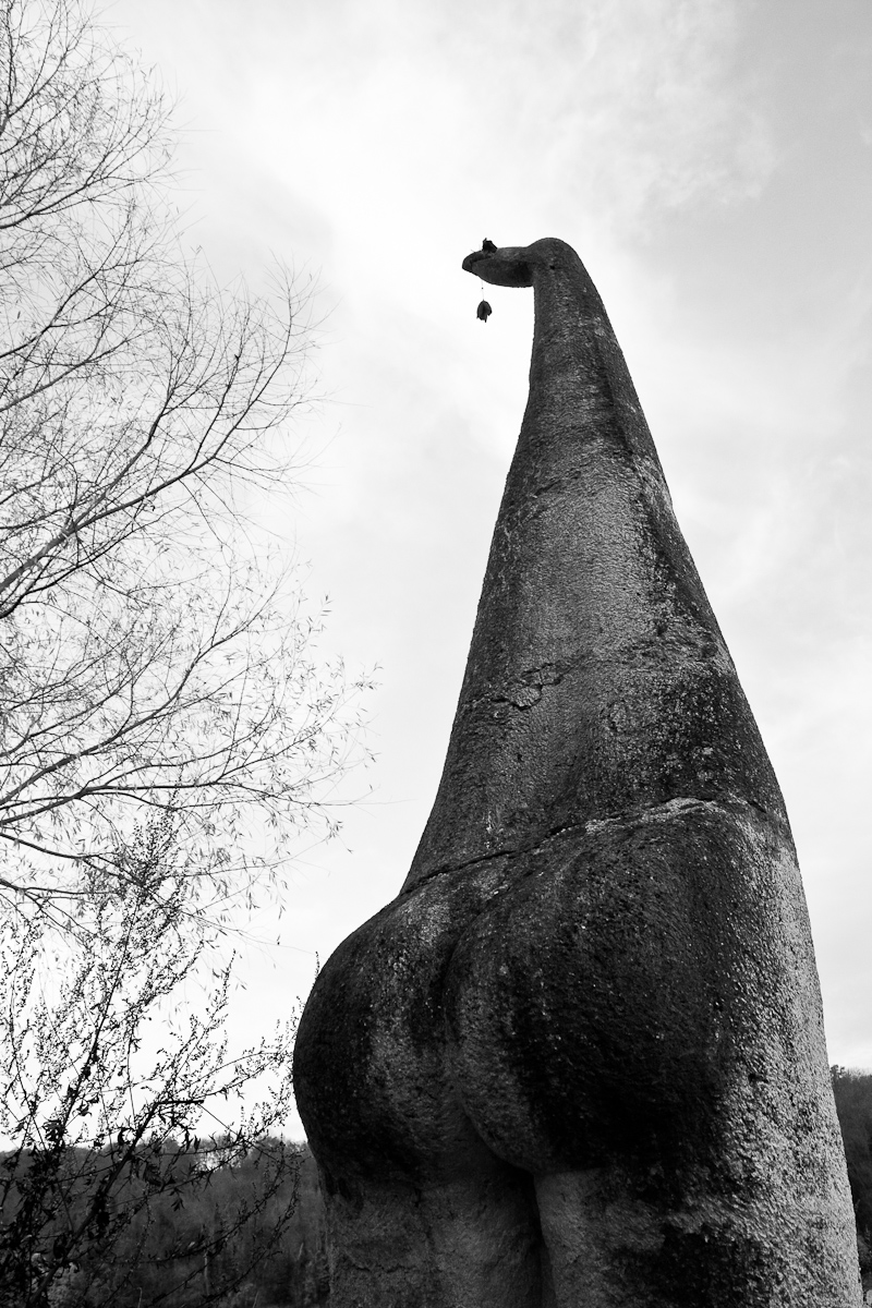 2010-11-20 16-36-08 web