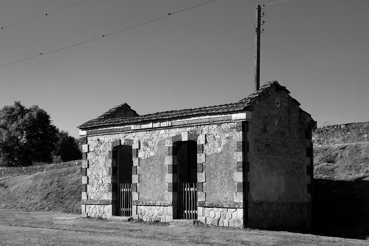 2010-08-07 18-31-13 web