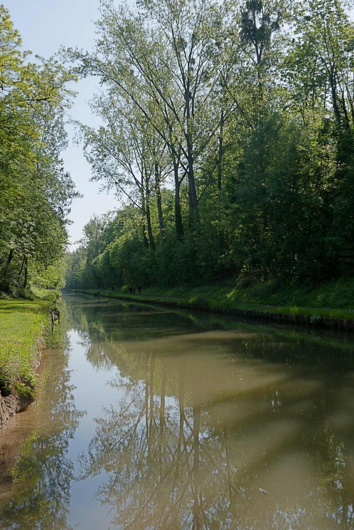 2012-05-13 09-03-41 fweb