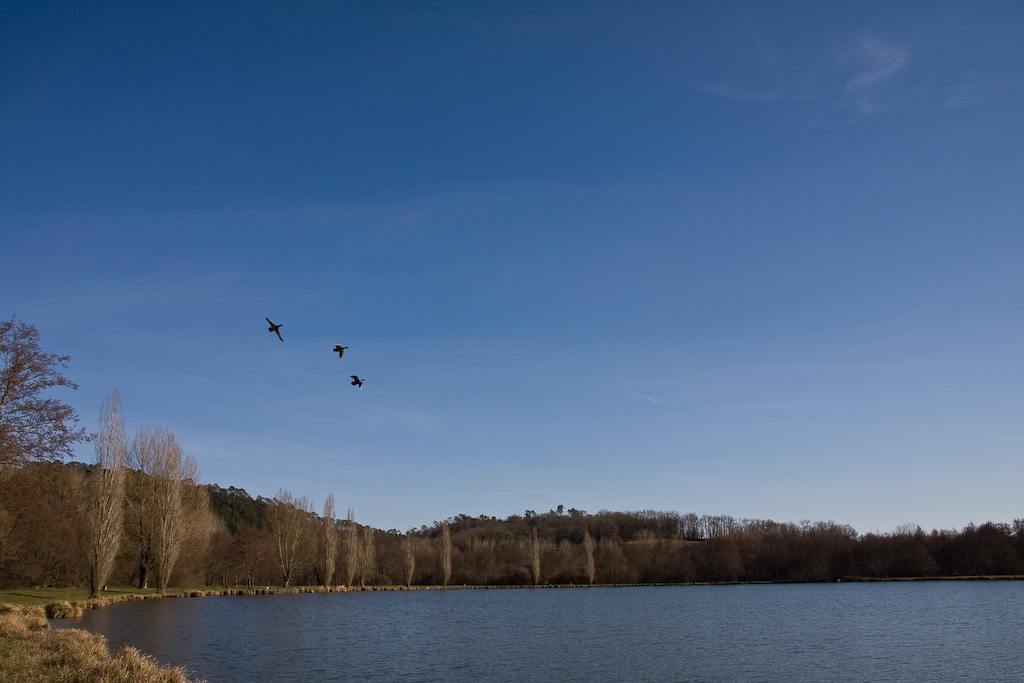 2009-02-25 16-02-09 web