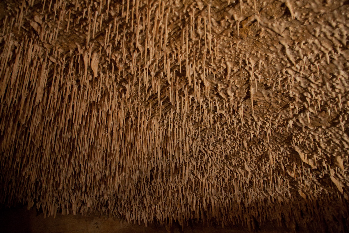 2010-08-22 15-51-11 web