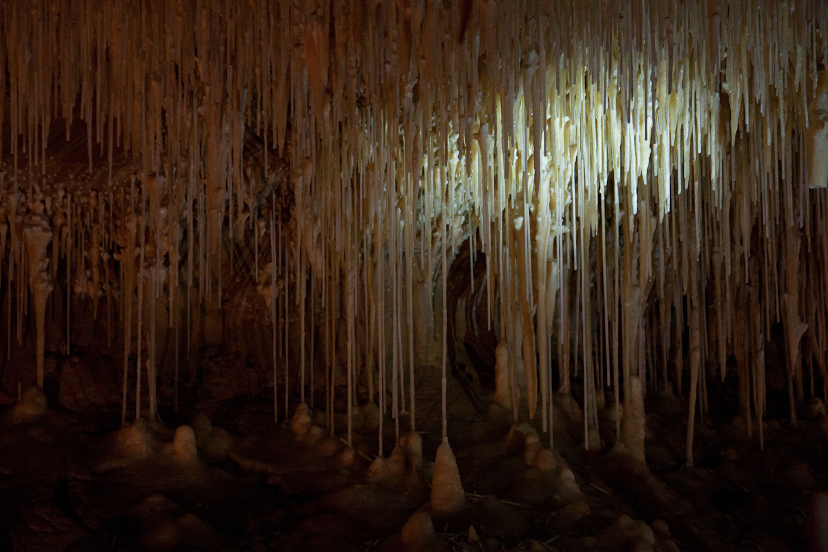 2010-08-22 15-53-42 web