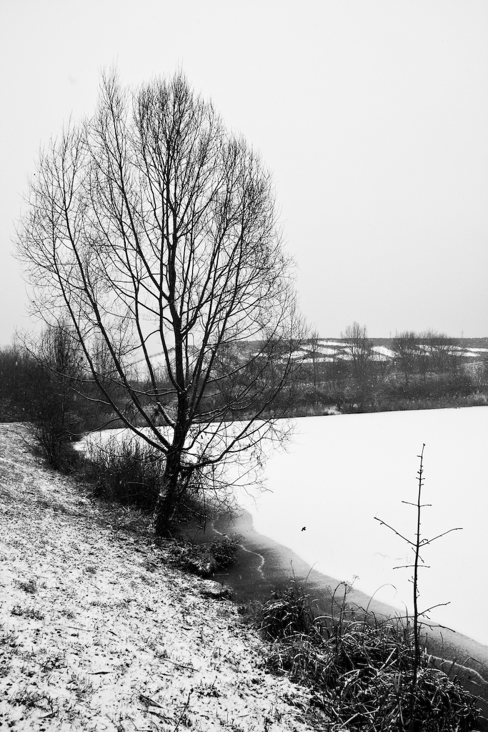 2009-01-05 11-51-28 web