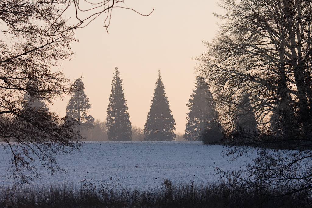 2009-01-10 16-15-37 web