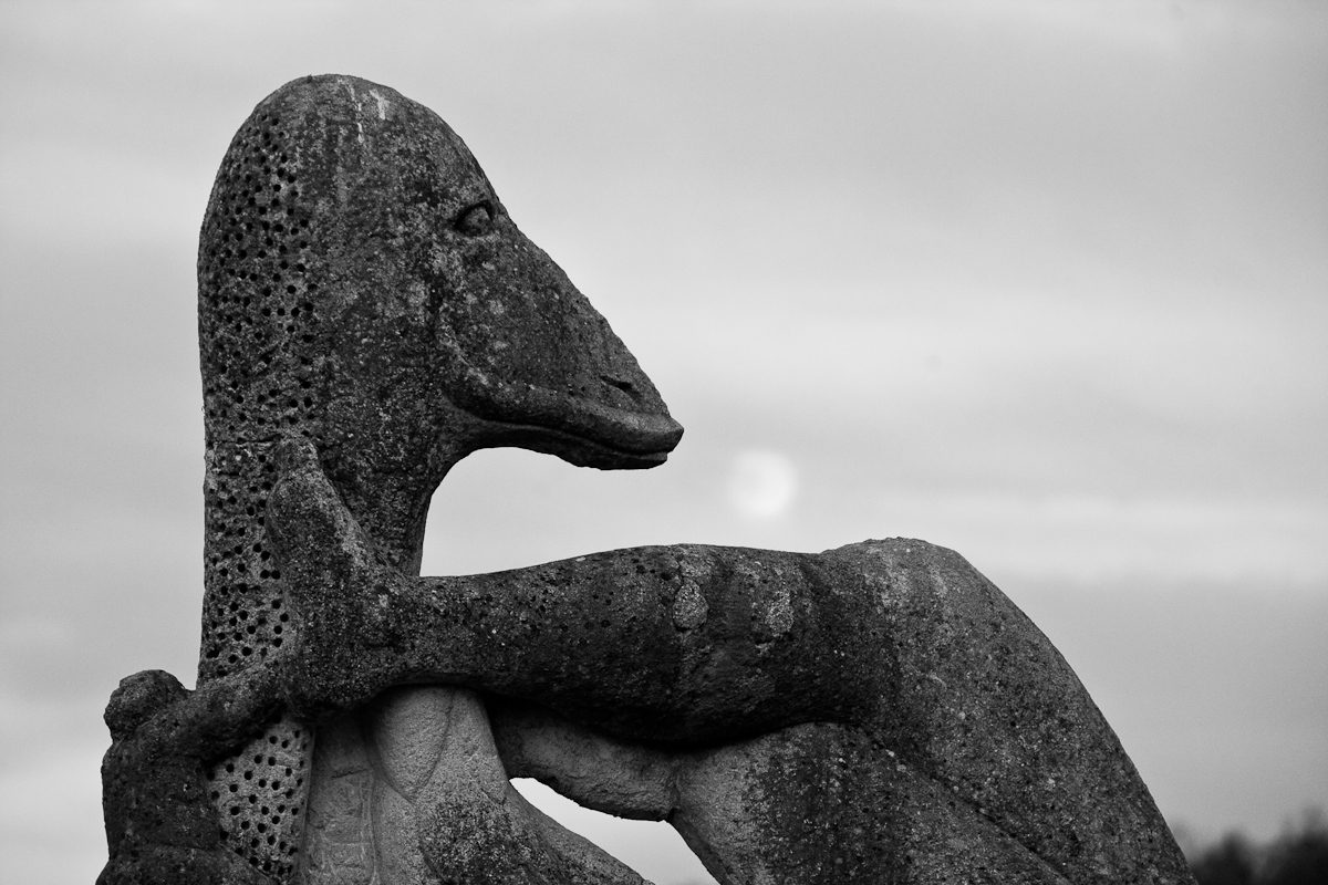 2010-11-20 17-00-35 web